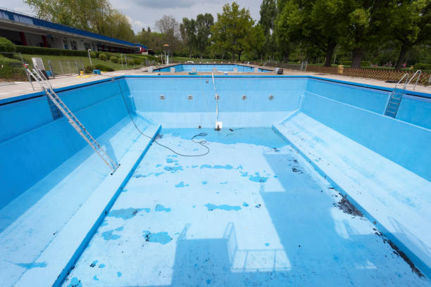 Best Water damage contractors near me  in Andover, MN
