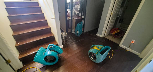 Best Water damage restoration specialists  in Andover, MN