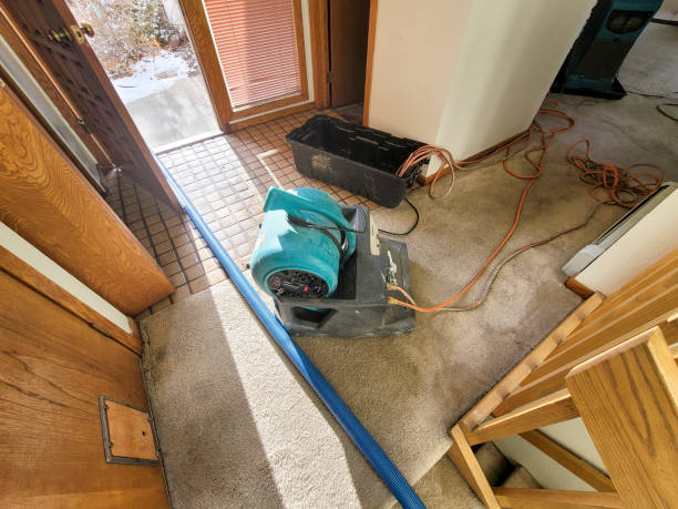 Best Fire Damage Restoration  in Andover, MN