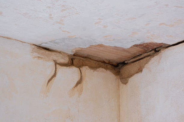 Best 24/7 water damage repair  in Andover, MN
