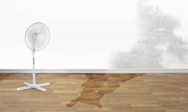 Best Residential water damage restoration  in Andover, MN