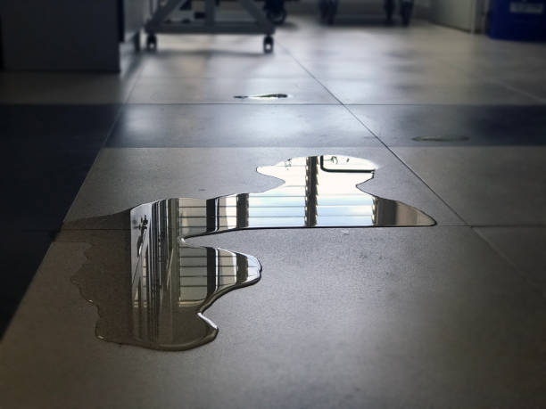 Best Water damage restoration near me  in Andover, MN