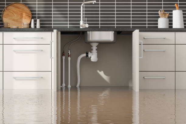 Best Flood restoration services  in Andover, MN