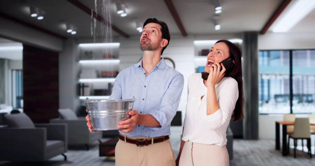 Best Flood damage cleanup  in Andover, MN