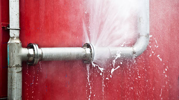 Best Flood restoration services  in Andover, MN